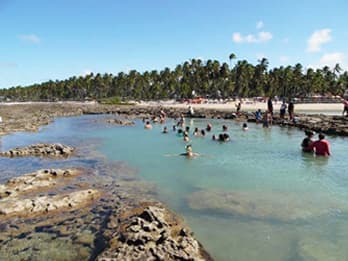 Passeios para Praia dos Carneiros - Piscina Natural
